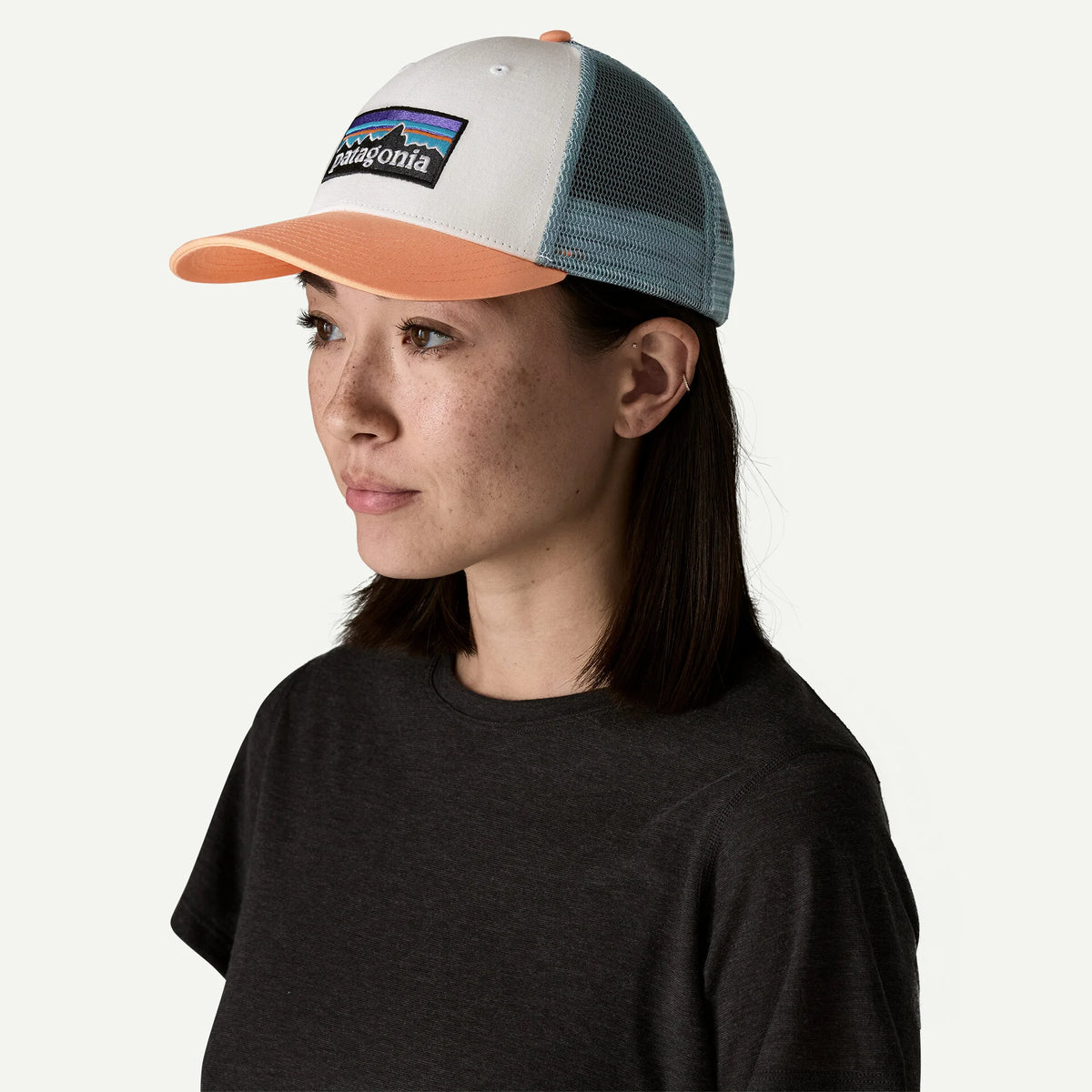 Patagonia P-6 Logo LoPro Trucker Hat