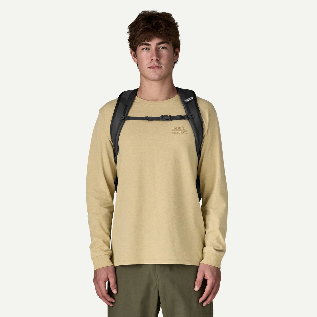 Patagonia Refugio Daypack 30L