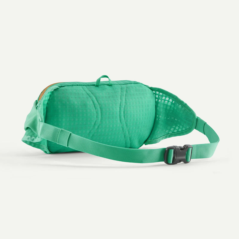 Patagonia Terravia Hip Pack 4L