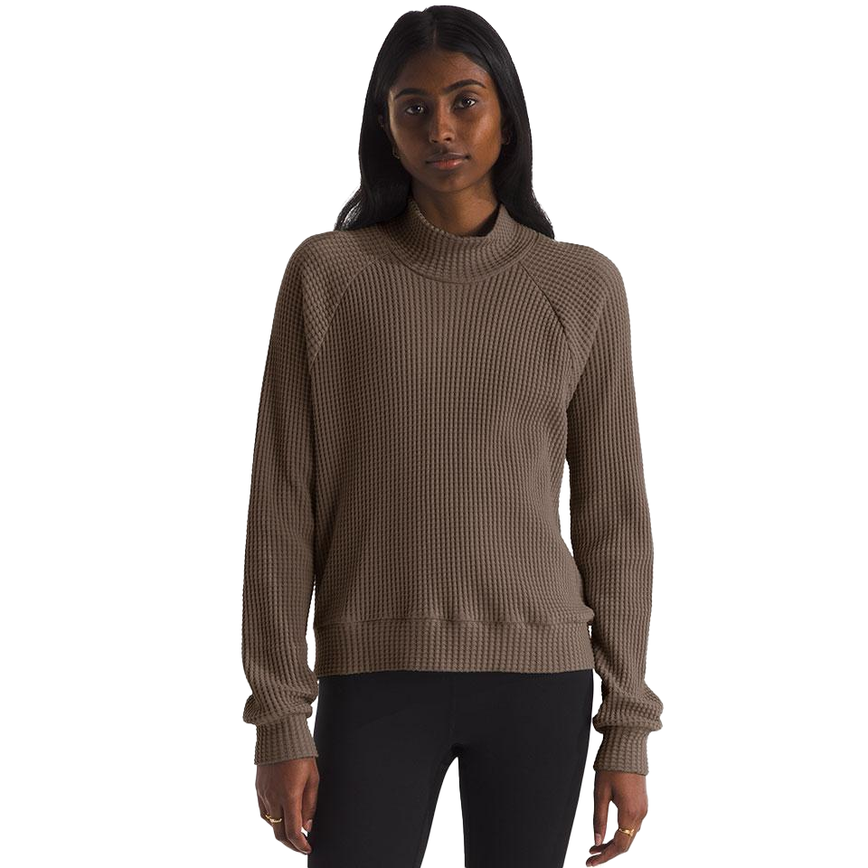 The North Face Women's Long-Sleeve Mock Neck Chabot