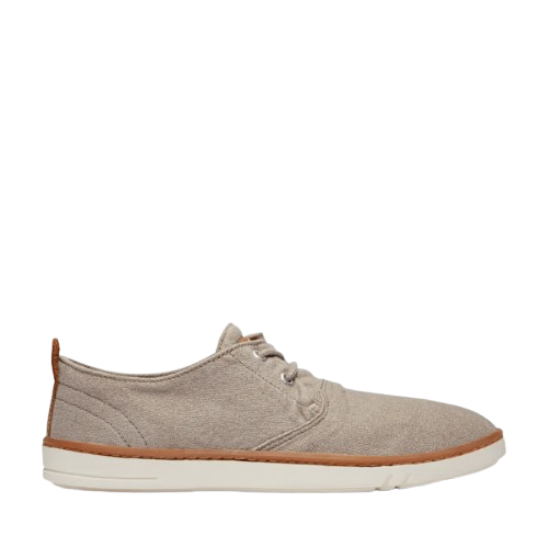 Timberland Men's Hookset Canvas Sneaker